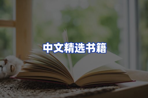 中文精选书籍
